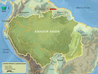 L'Amazzonia in Guyana